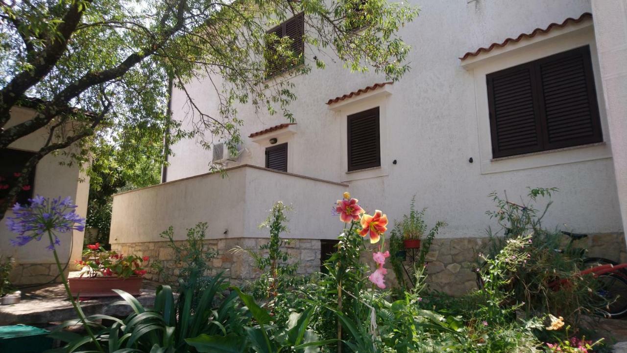 Apartman Dino Tar-Vabriga Bagian luar foto